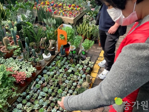 다육식물을 구매하기 위해 열심히 식물을 관찰하고 있는 여성 장애가족의 사진. 장애가족행복지킴이ci.