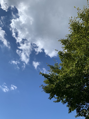 푸른 하늘과 오른쪽 상단에 하얀 구름이 있는 모습. 오른쪽에 초록색 나무가 있다.