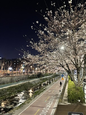 야경으로 찍힌 성북천의 모습