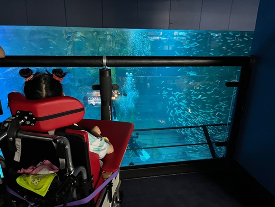 장애가족이 휠체어에 앉아 아쿠아리움 수족관을 내려다보고 있다. 수족관 안에는 많은 물고기들이 있다.