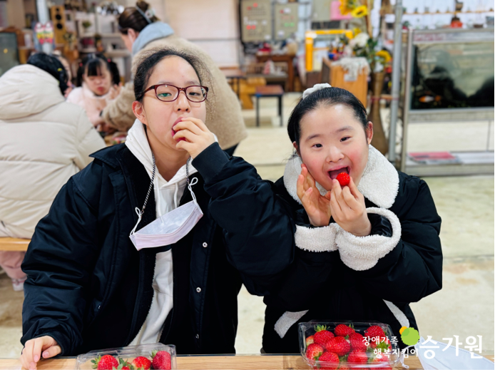 검정색 패딩을 입은 두 명의 여자 장애아동이 본인들이 수확한 딸기를 맛있게 먹고 있다. 우측 하단 승가원ci[승가원행복마을] 즐겁고 신기한 딸기농장 체험기